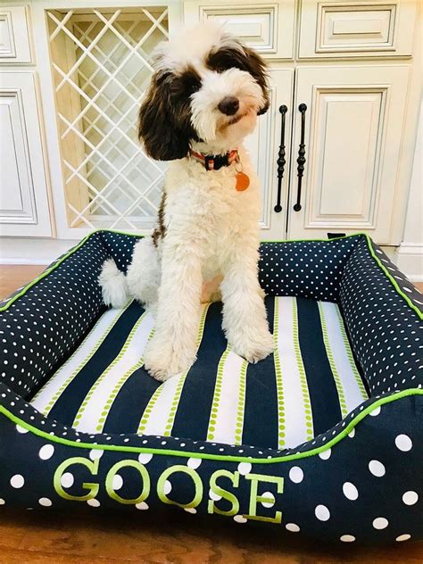 Chanel Custom Dog Bed 